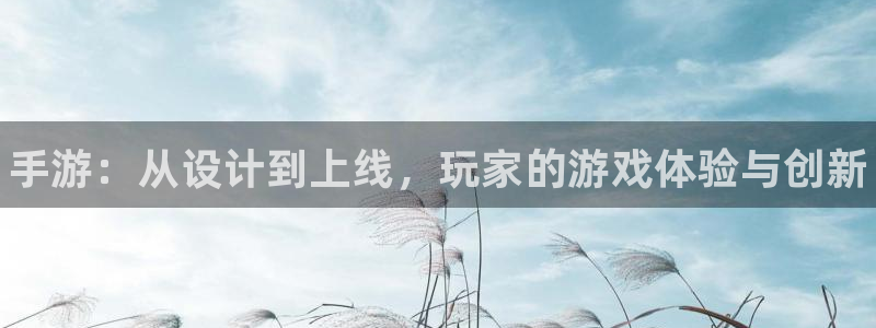 28大神专业版官网