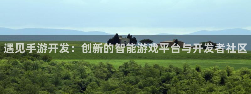 大神吧28预测结果