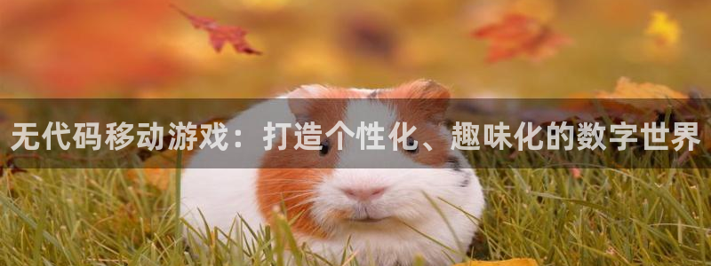 豪门国际开奖预测