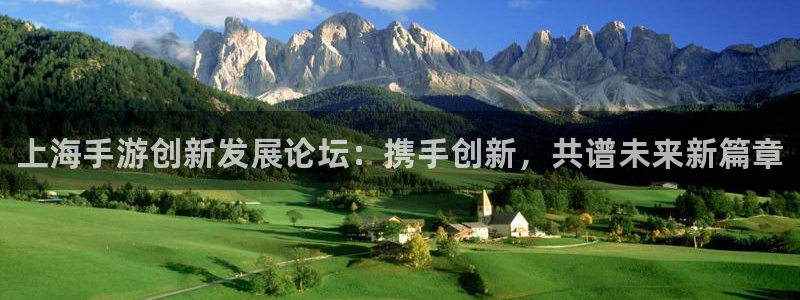 豪门国际专业版