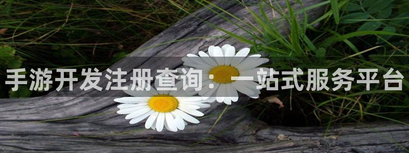 豪门国际app最新版