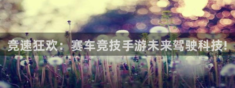 豪门国际官网开奖结果：竞速狂欢：赛车竞技手游未来驾驶科技!