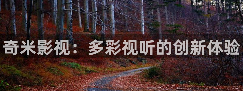 噜噜影院欧美
